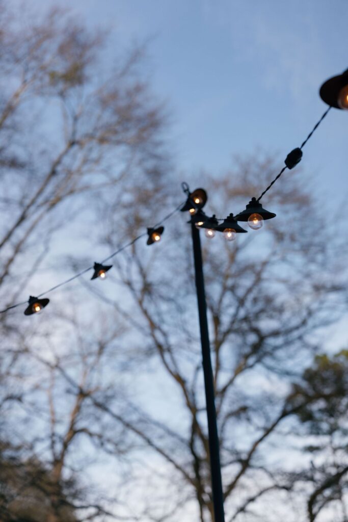 String lights are strung across an outdoor area, glowing softly against a background of leafless trees and a blue sky.