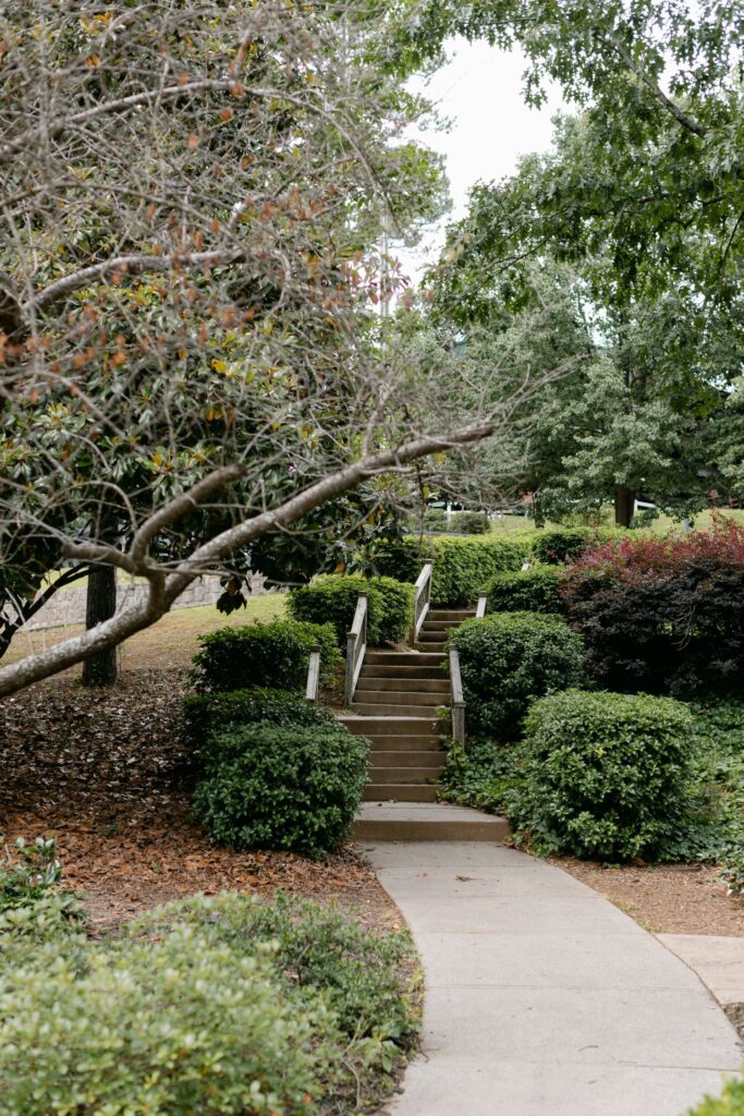 A concrete path leads to a set of stairs with wooden railings, surrounded by green bushes and trees—an inviting setting ideal for a progressive cocktail reception in Atlanta.
