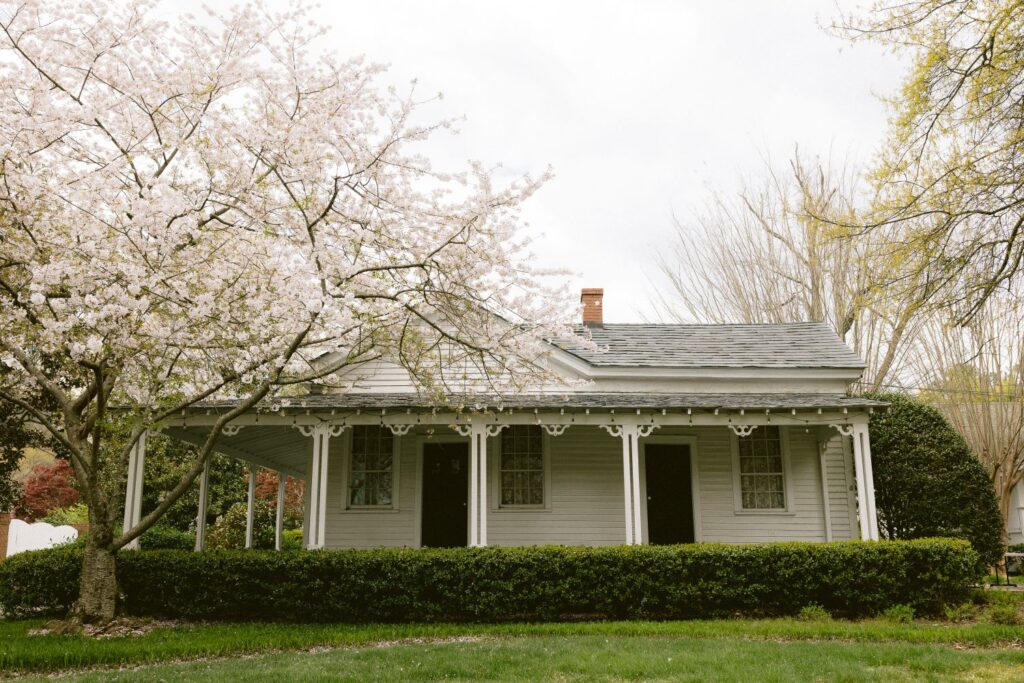 A small white house with a porch sits behind a hedge. A large tree with blooming white flowers is on the left, and the lawn in front is green. The sky is overcast, and other trees are in the background.